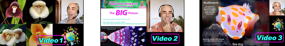 3 Free videos